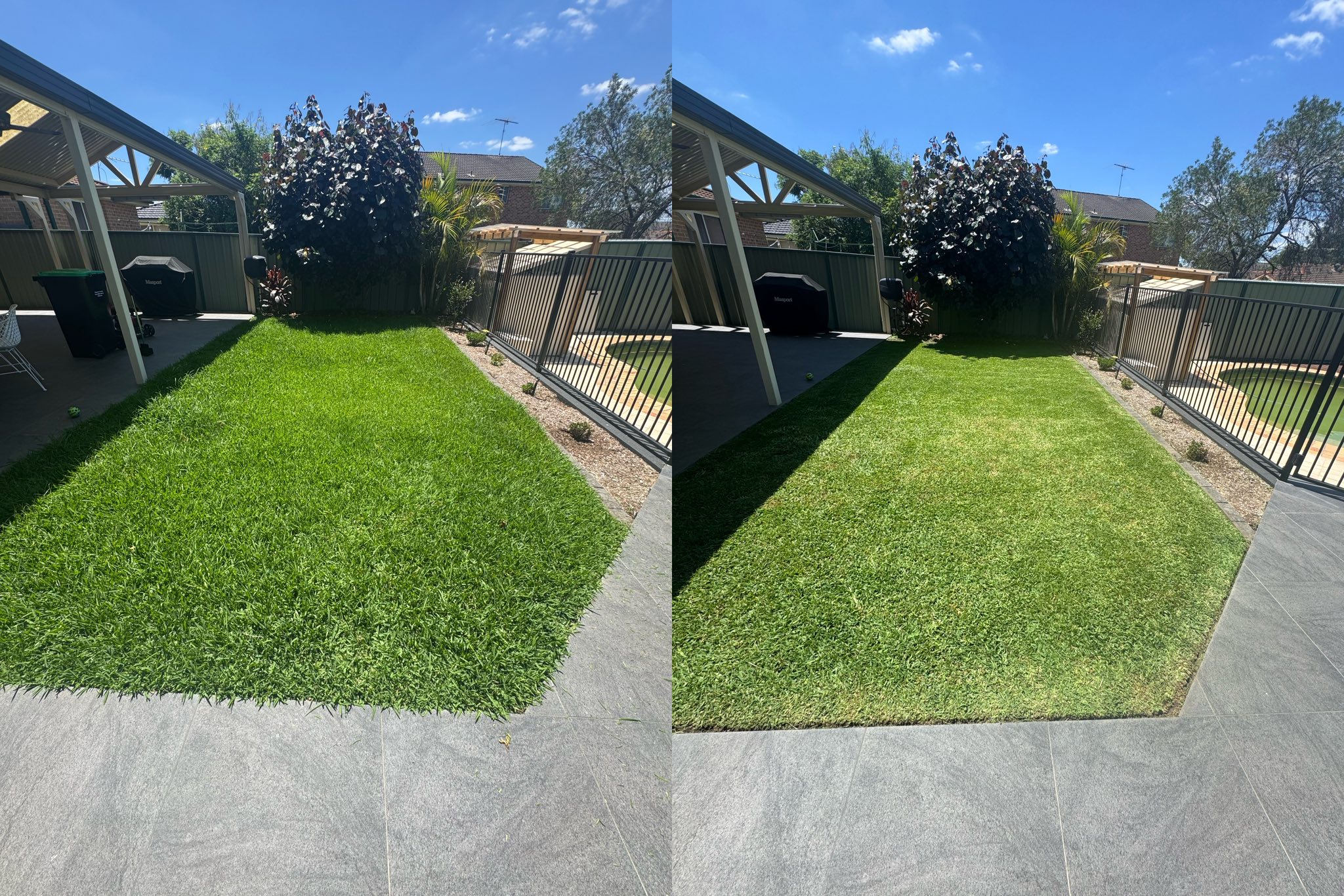 627954803_122157594812828612_3558343014355400314_n